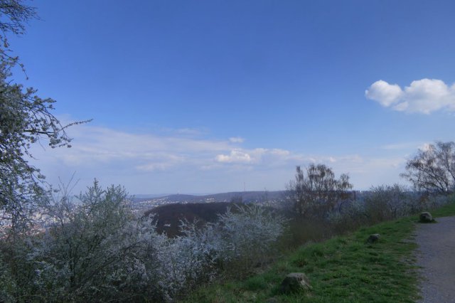 p1060569landsch sanftk.jpg